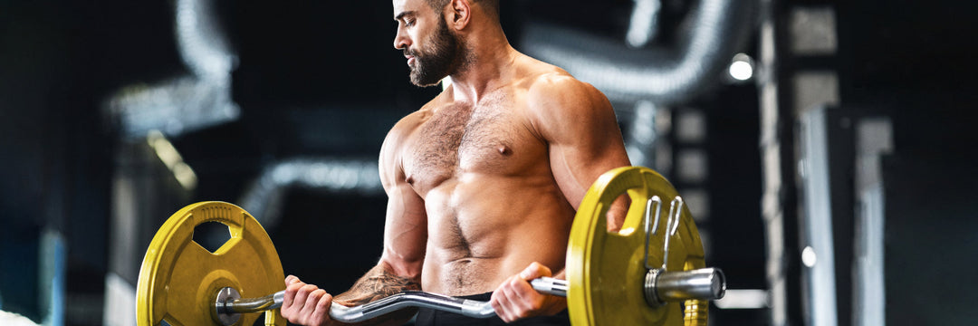 Wie wirkt Protein aus Beef im Körper?