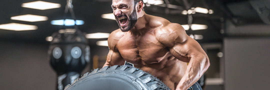 Gainer - helfen dir, Gewicht zuzulegen und Muskeln aufzubauen