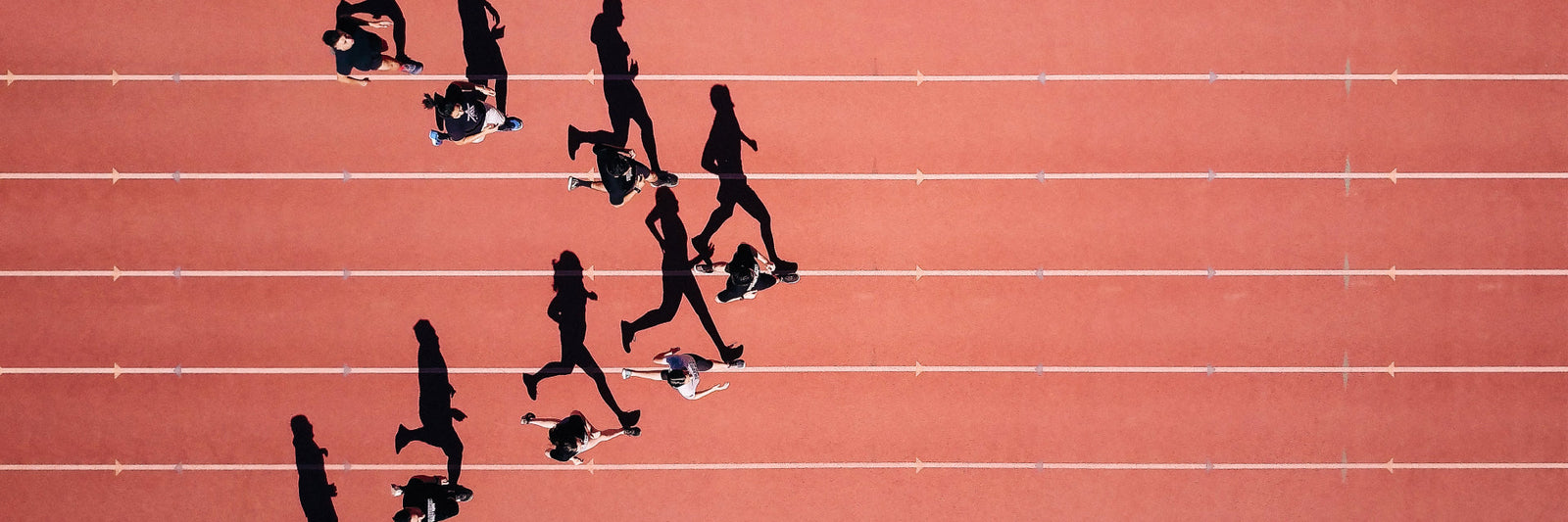 So wirken Fatburner –  Die aktuellen Forschungsergebnisse