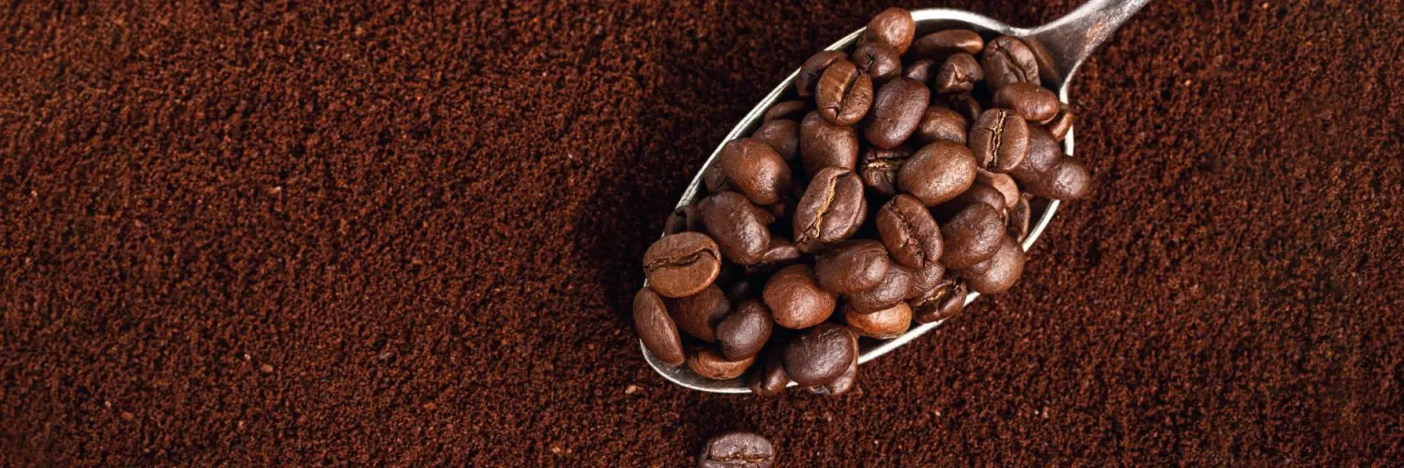 Koffein – Wirkung und Einfluss auf den Körper