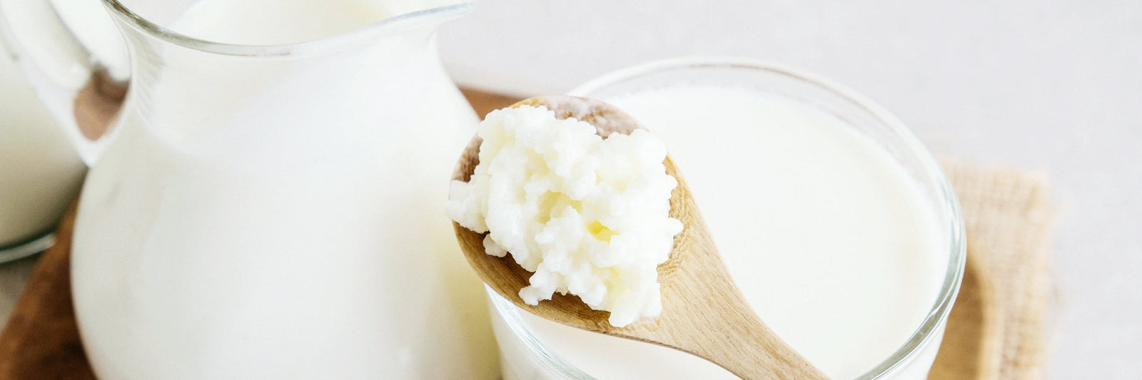 Probiotics: what they are, their benefits