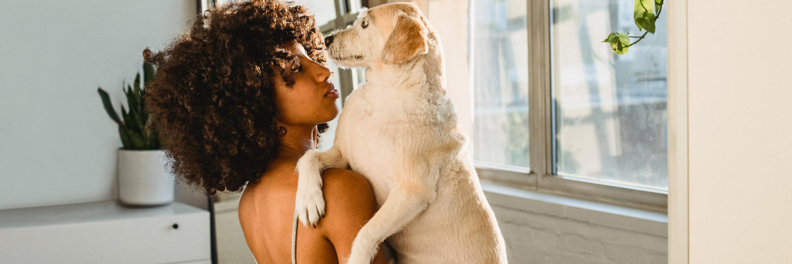 How to cope with stress: effective ways