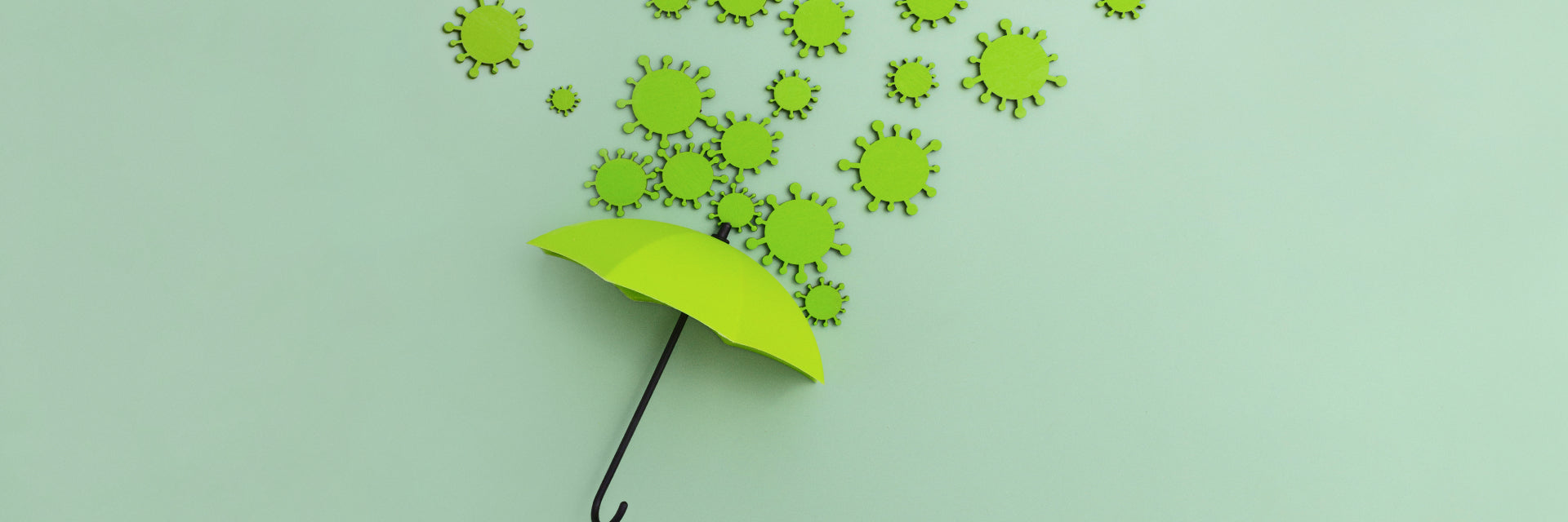 The ABCs of Immunity: What It Is and How It Works | MAXLER
