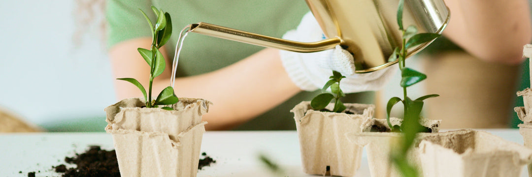 10 Steps for a Healthy Lifestyle