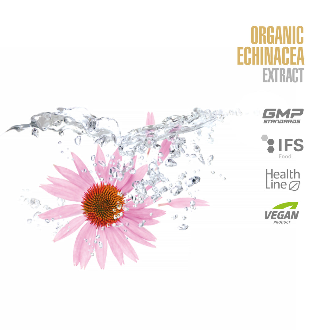 Organic echinacea extract with a pink flower and water droplets on a white background, featuring certification logos.